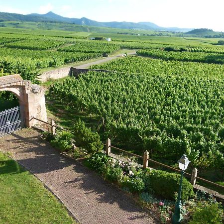 Domaine Du Bouxhof Apartman Mittelwihr Kültér fotó