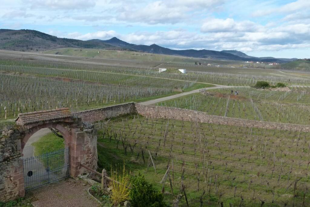Domaine Du Bouxhof Apartman Mittelwihr Kültér fotó