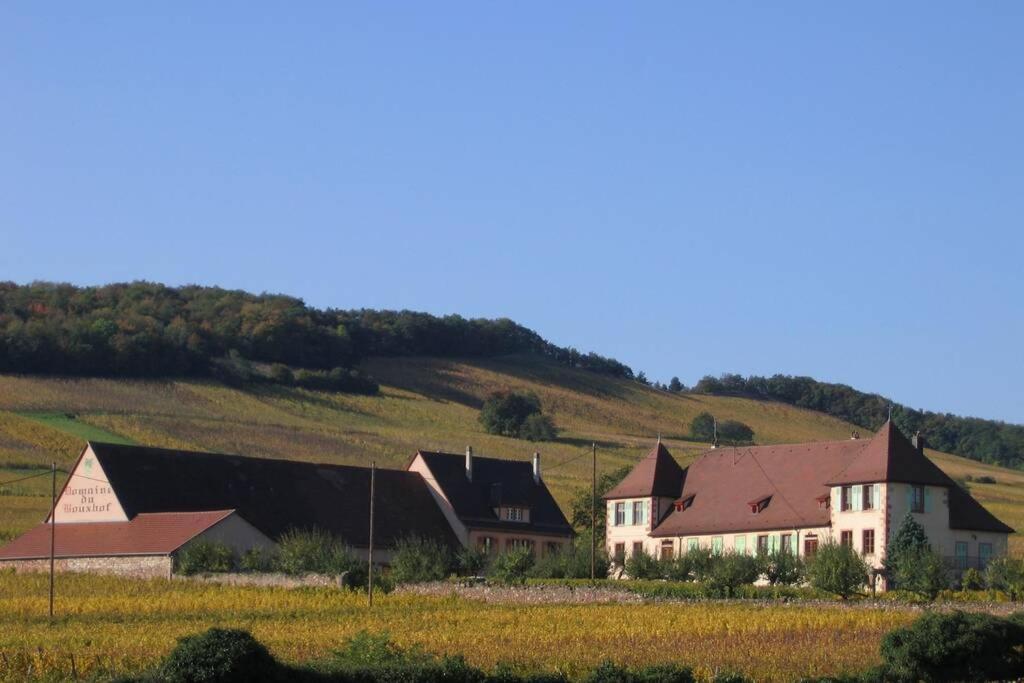 Domaine Du Bouxhof Apartman Mittelwihr Kültér fotó