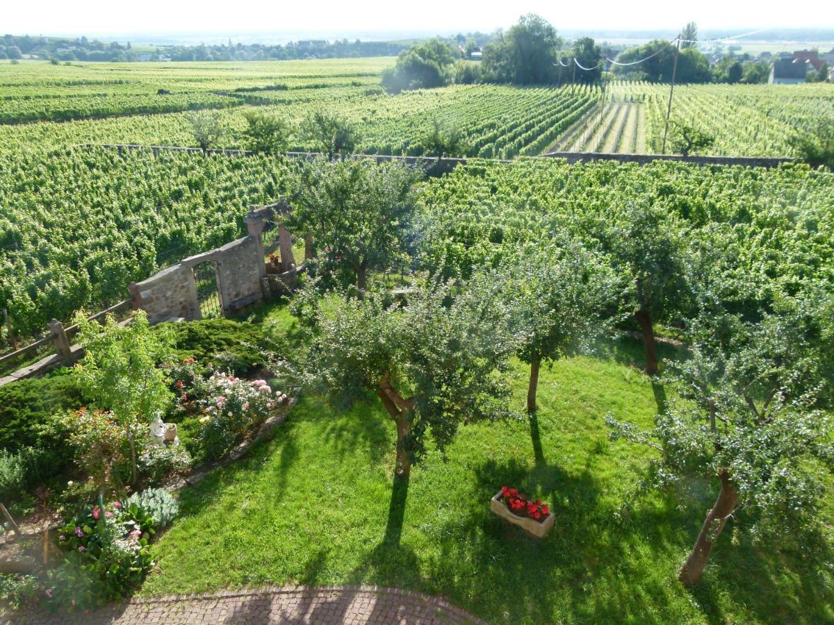 Domaine Du Bouxhof Apartman Mittelwihr Kültér fotó
